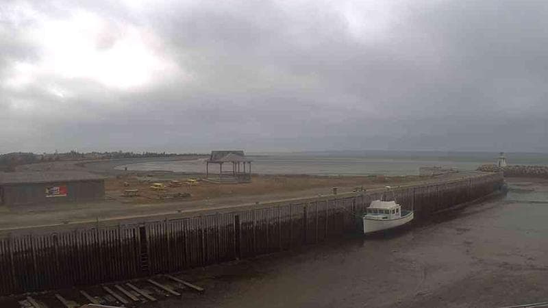 Belliveau Cove Harbour