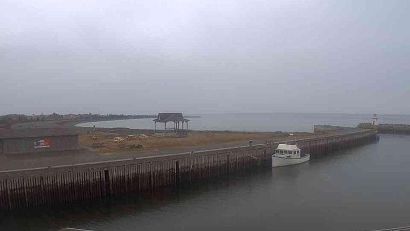 Belliveau Cove Harbour