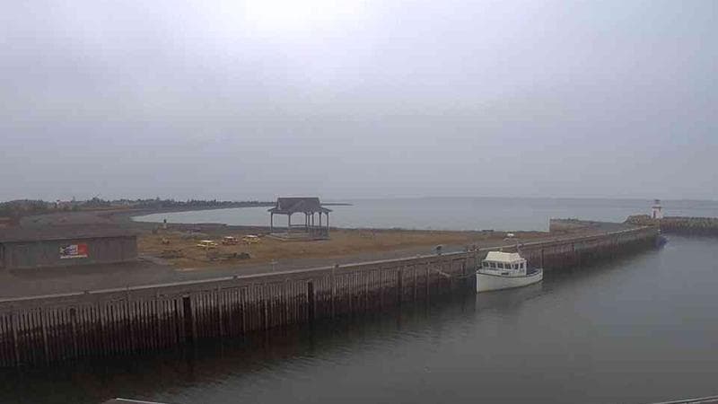 Belliveau Cove Harbour