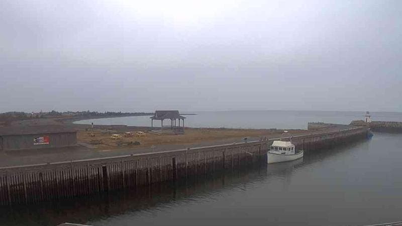 Belliveau Cove Harbour