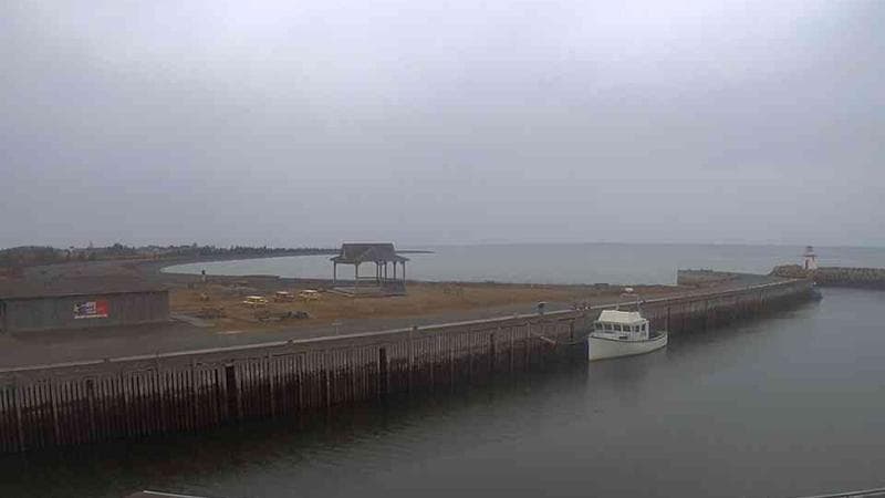 Belliveau Cove Harbour