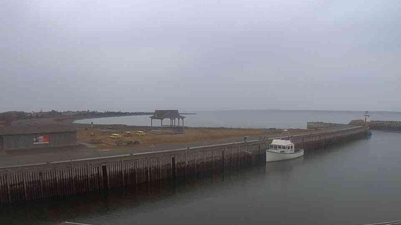 Belliveau Cove Harbour