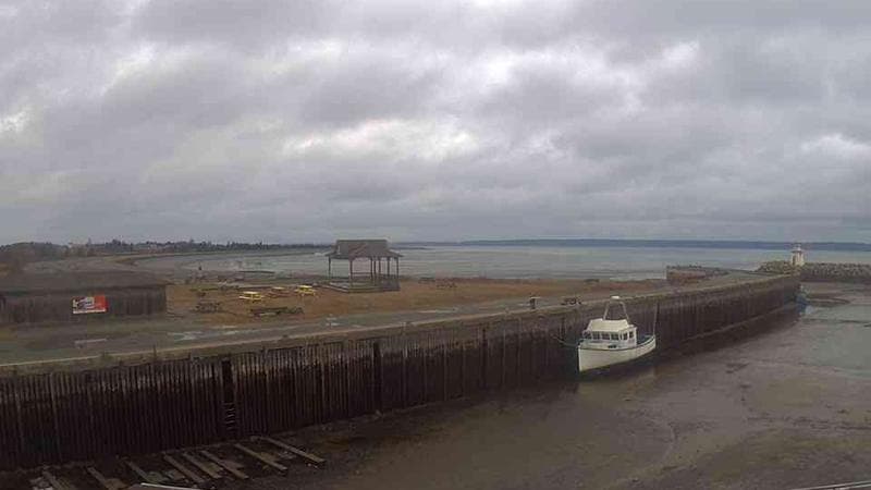 Belliveau Cove Harbour