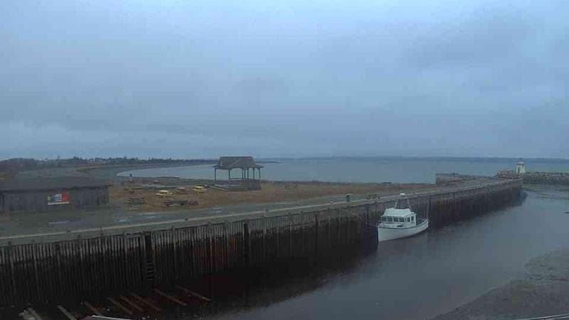 Belliveau Cove Harbour