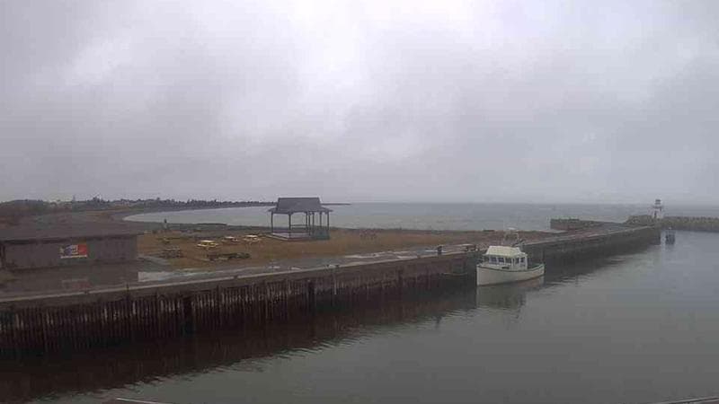 Belliveau Cove Harbour