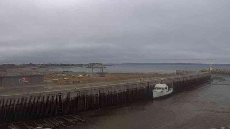 Belliveau Cove Harbour