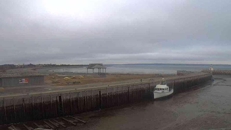 Belliveau Cove Harbour