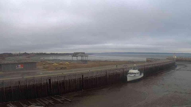 Belliveau Cove Harbour