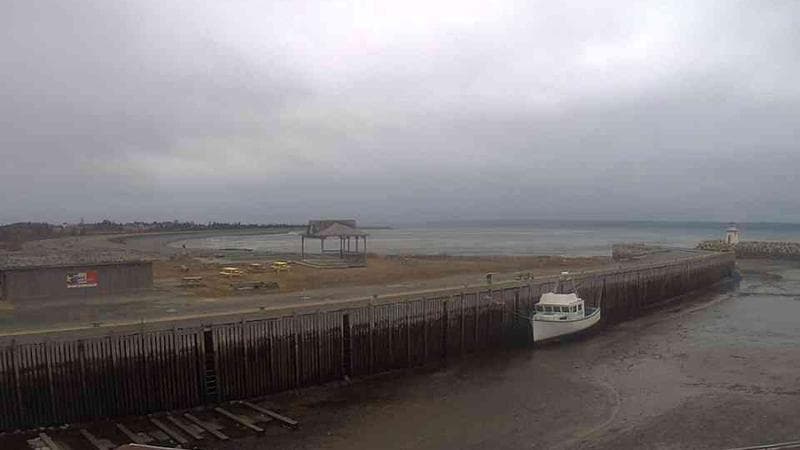 Belliveau Cove Harbour