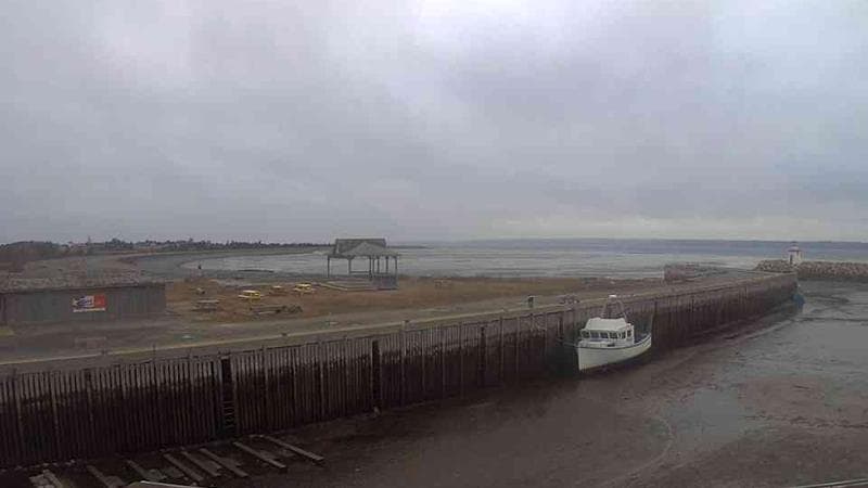 Belliveau Cove Harbour