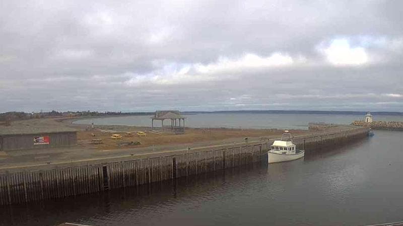 Belliveau Cove Harbour
