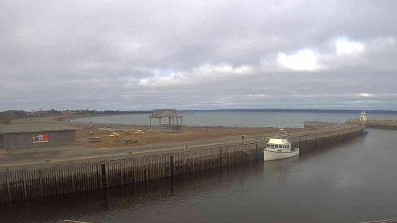 Belliveau Cove Harbour