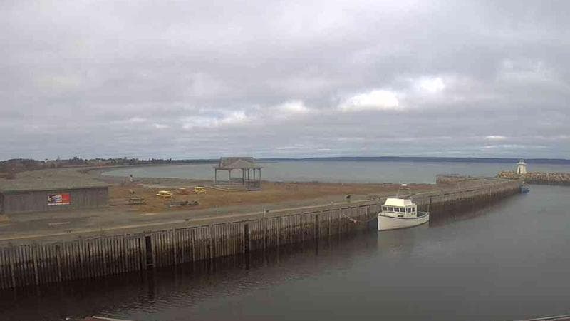 Belliveau Cove Harbour