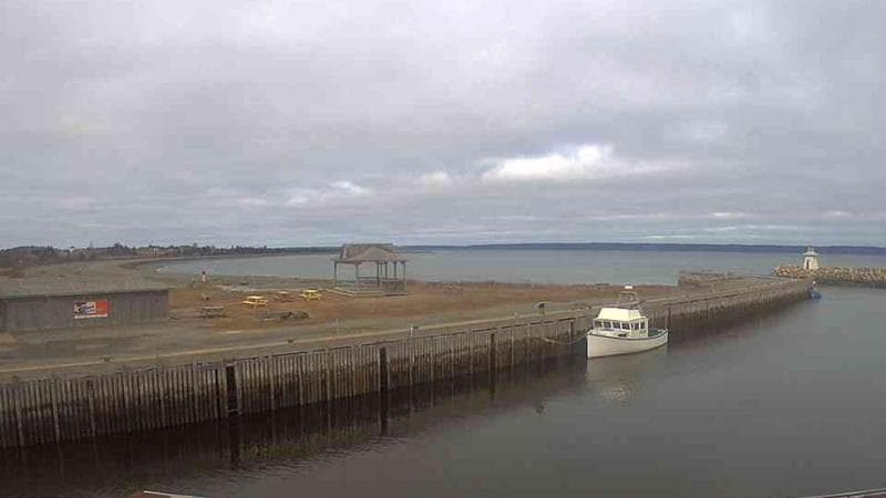 Belliveau Cove Harbour