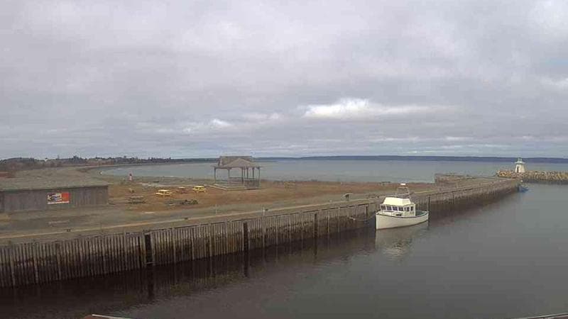 Belliveau Cove Harbour