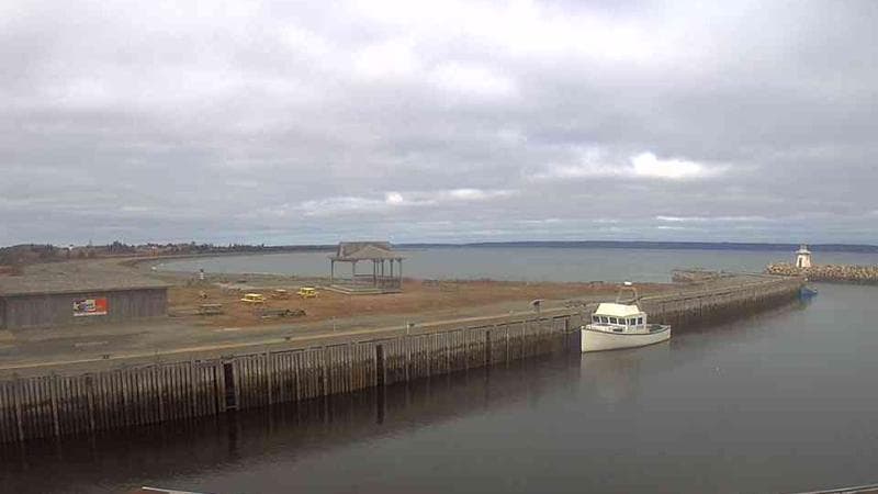Belliveau Cove Harbour