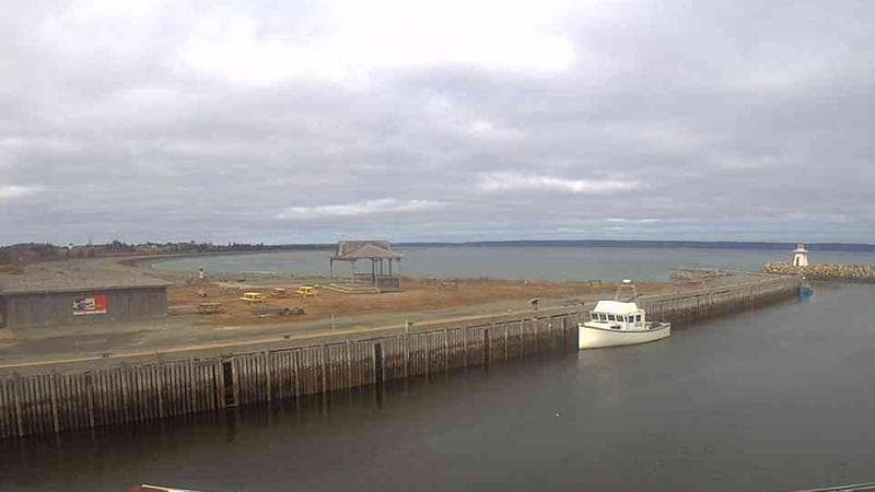 Belliveau Cove Harbour