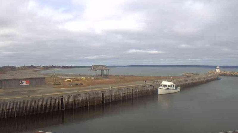 Belliveau Cove Harbour