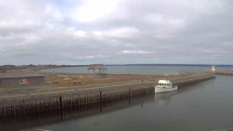Belliveau Cove Harbour