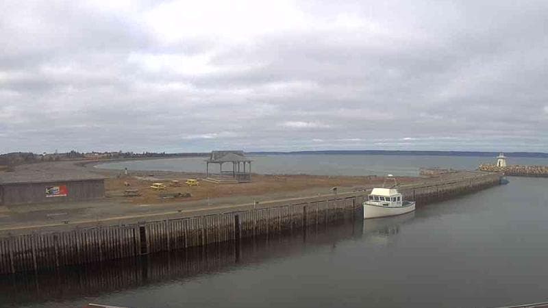 Belliveau Cove Harbour