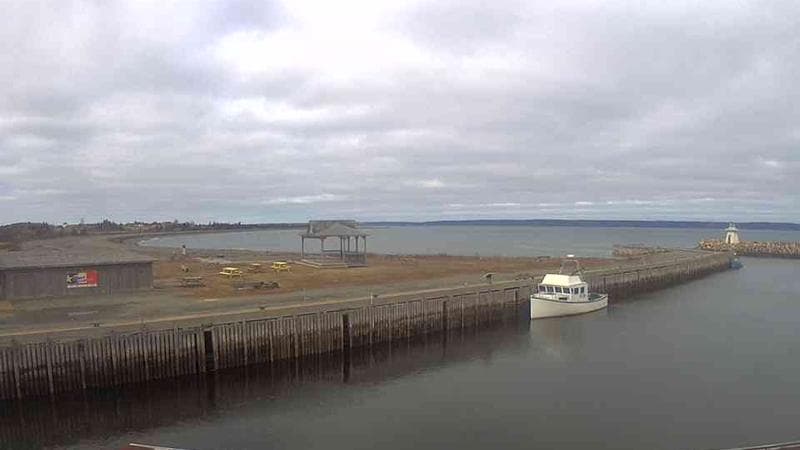 Belliveau Cove Harbour