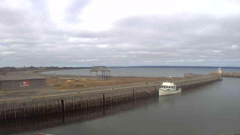Belliveau Cove Harbour