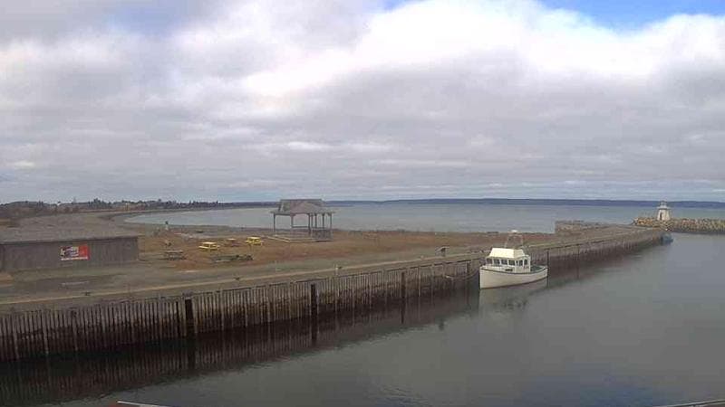 Belliveau Cove Harbour