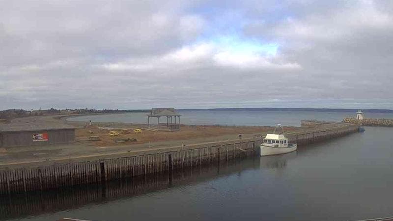 Belliveau Cove Harbour
