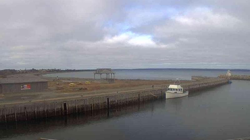 Belliveau Cove Harbour