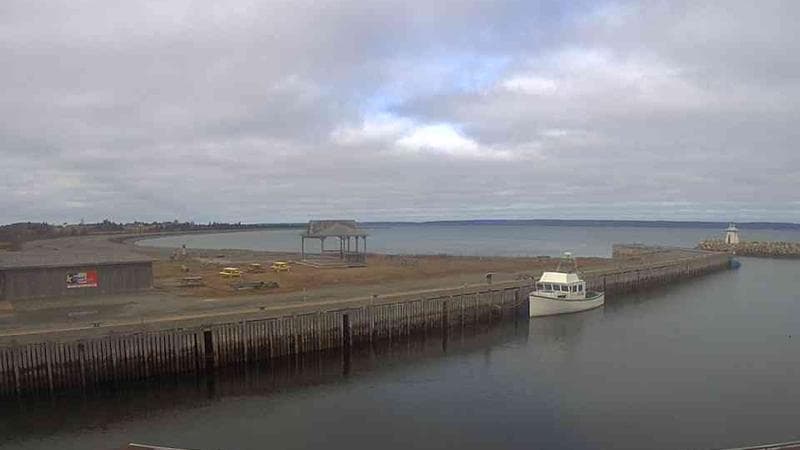 Belliveau Cove Harbour