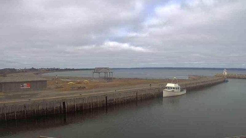 Belliveau Cove Harbour