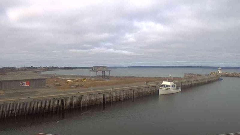 Belliveau Cove Harbour