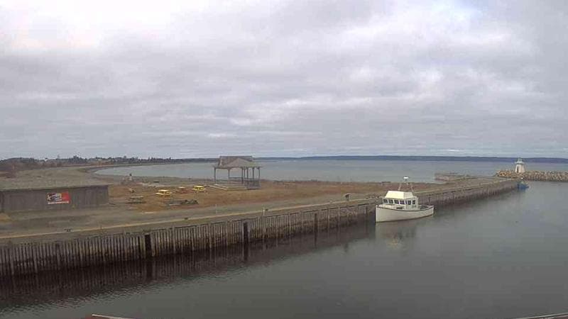 Belliveau Cove Harbour
