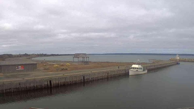Belliveau Cove Harbour