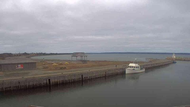 Belliveau Cove Harbour