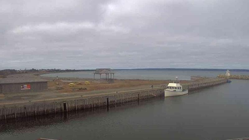 Belliveau Cove Harbour