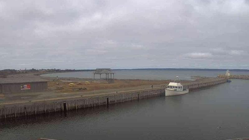 Belliveau Cove Harbour