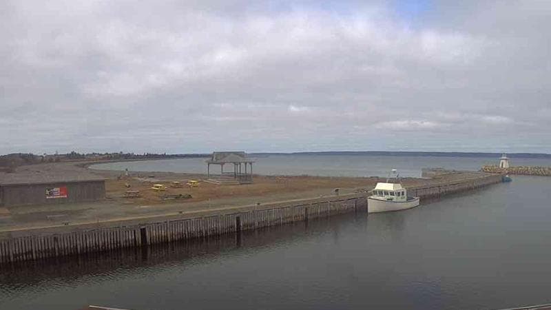 Belliveau Cove Harbour
