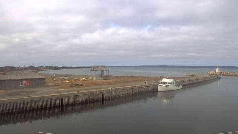 Belliveau Cove Harbour