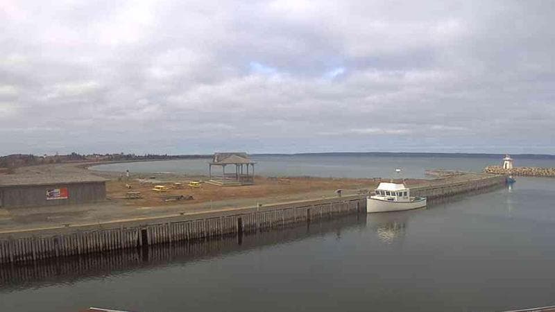 Belliveau Cove Harbour