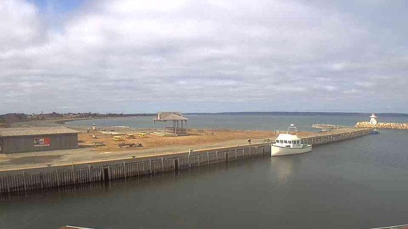 Belliveau Cove Harbour
