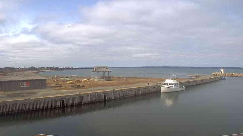 Belliveau Cove Harbour