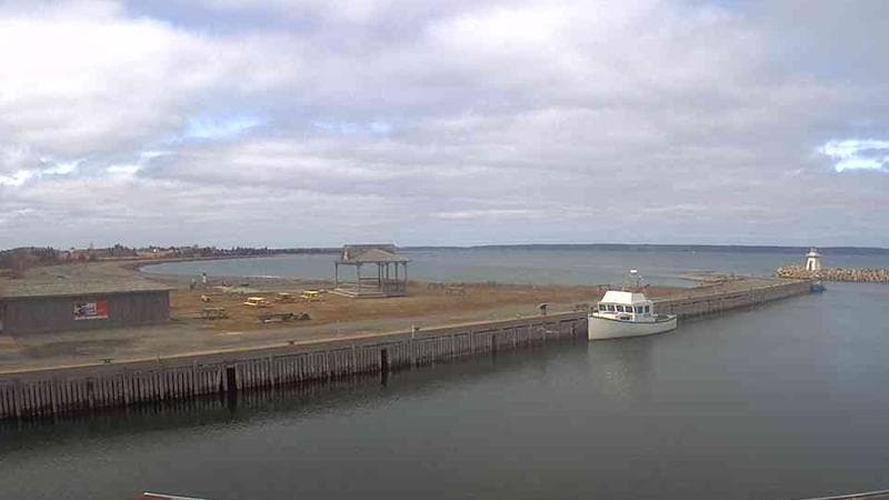 Belliveau Cove Harbour