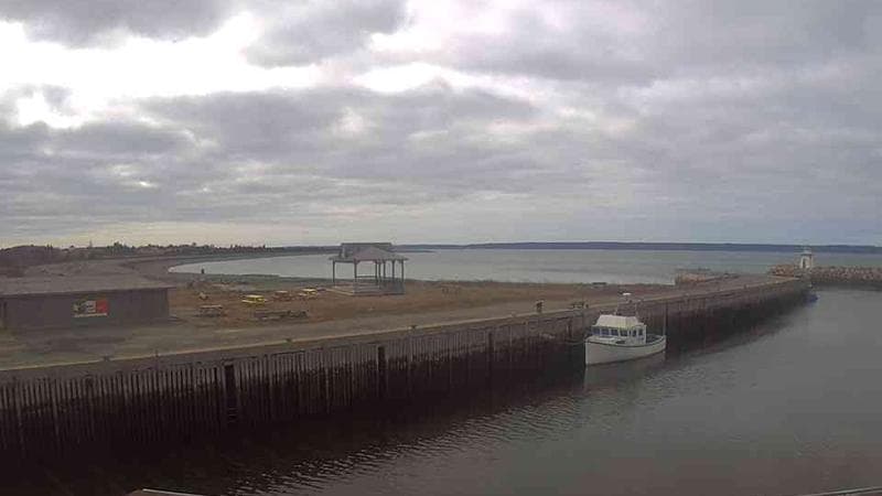 Belliveau Cove Harbour