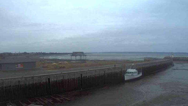 Belliveau Cove Harbour