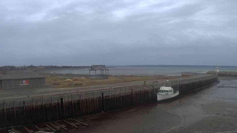 Belliveau Cove Harbour