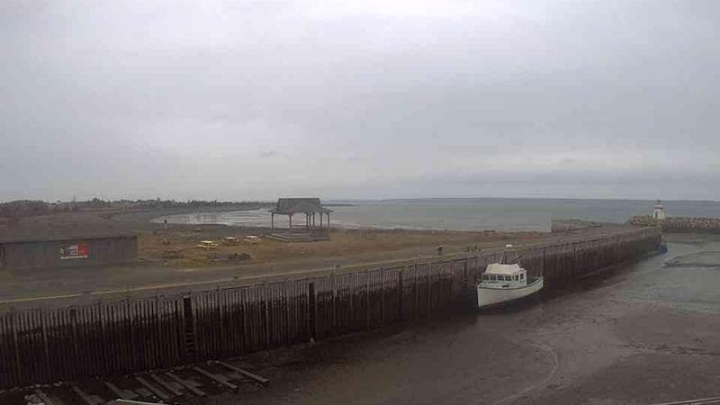 Belliveau Cove Harbour