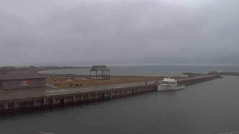 Belliveau Cove Harbour