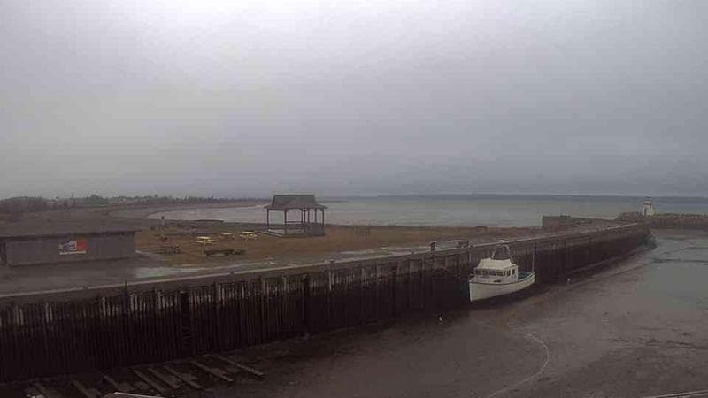 Belliveau Cove Harbour