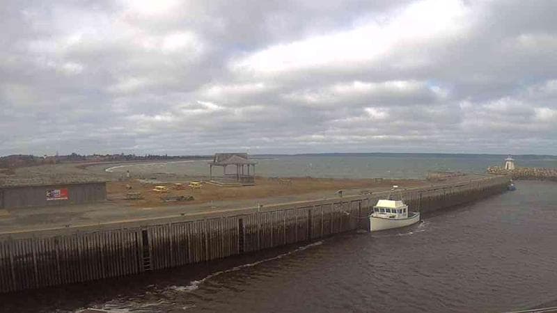 Belliveau Cove Harbour